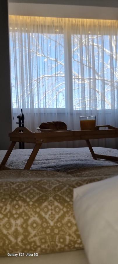 Rosewood Podgorica Apartment ภายนอก รูปภาพ
